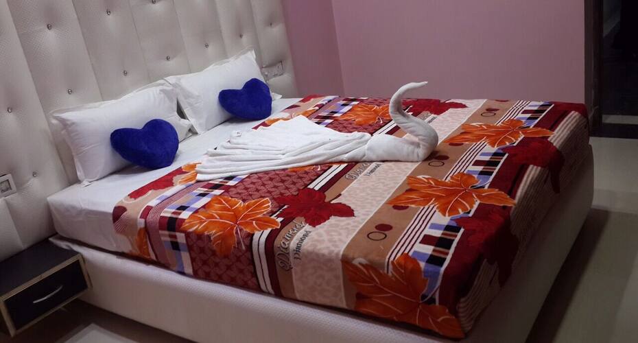 Hotel Shimon Inn, Dhamtari 4